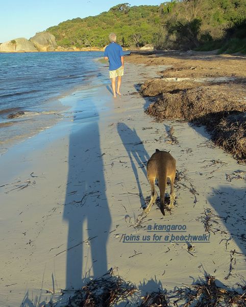 Two Peoples Bay