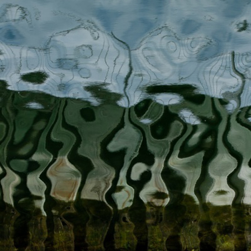 Reflections II